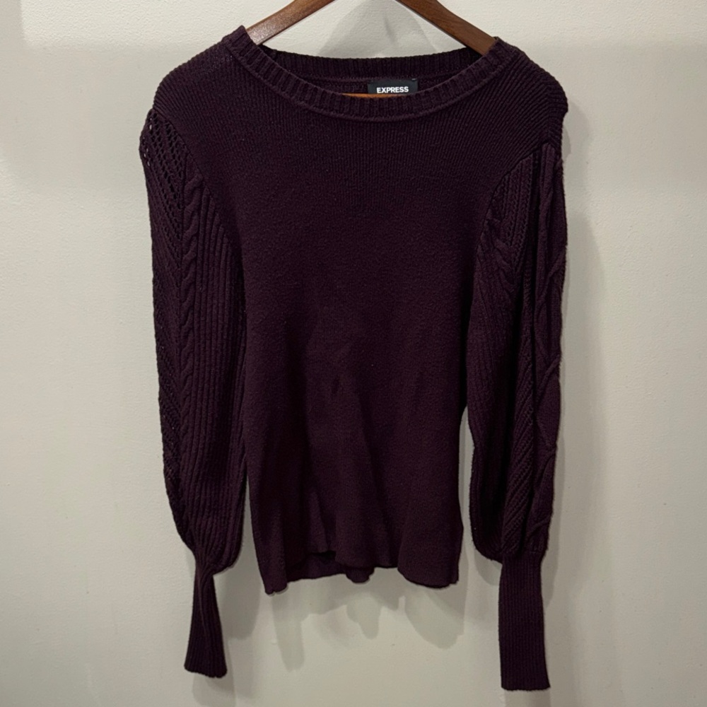 Express Women's Rich Purple Crew Neck Sweater